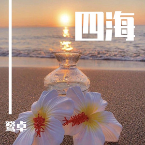 后入式操逼动态图
