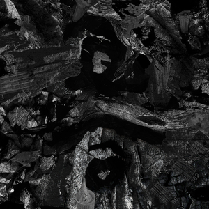 白嫩丰满少妇美女无套
