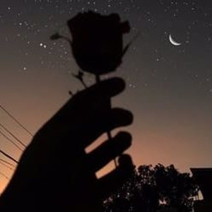 免费🔞美女❌❌❌涂抹软件下载
