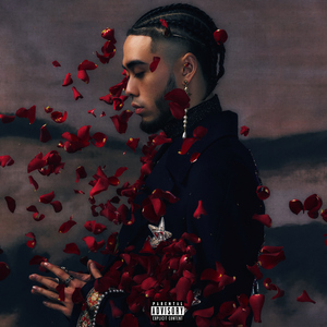 肉棒交媾草逼视
