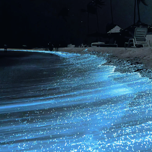 8-10岁女孩黄色大长的毛片
