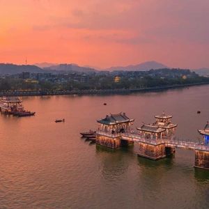 青青草视频官网
