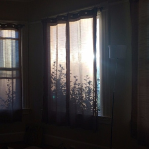 日韩不卡高清无码人妻
