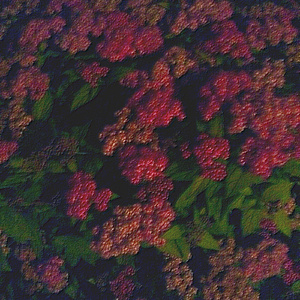 台湾做爰XXXⅩ性HD果冻
