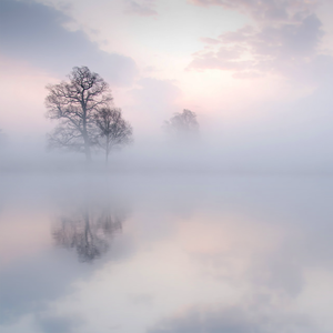 男人日美女逼逼
