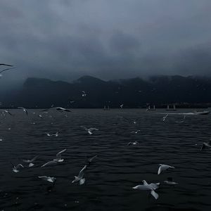 中国女人真人一级毛片3
