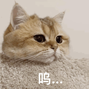 制服丝袜第四页
