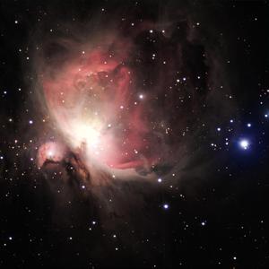 商城专业小鲤导航
