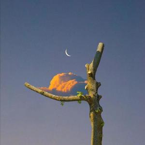 大人和女9孩做爰
