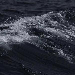 绝世唐门2免费看
