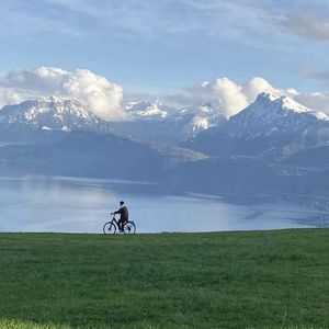 日韩不卡高清无码人妻
