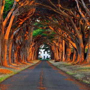 青青草视频官网
