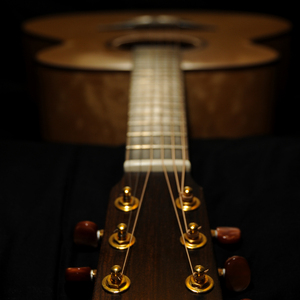 freee性猛玩妓女
