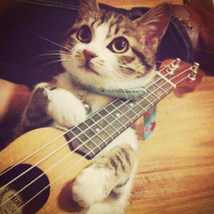 天天干天天干天天色
