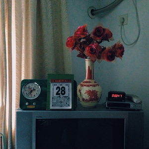 性残虐女人俱乐部
