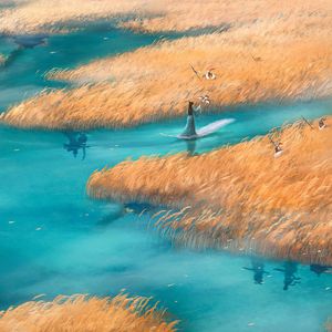 商城专业小鲤导航
