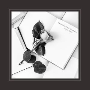 午夜性福利视频
