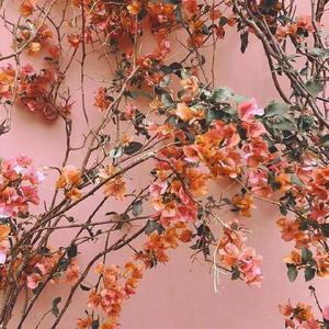 国宝级人妻换人妻互换A片爽
