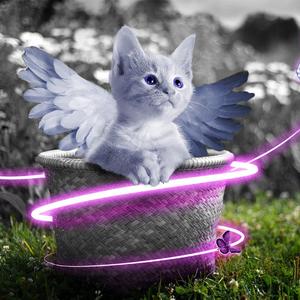 女医生帮我打了飞机真实经历
