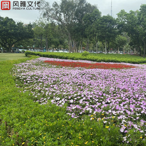 男男被❌到爽🔞无套毒液
