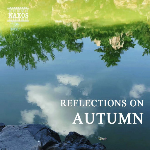 老骚逼要黑鸡巴日
